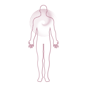 silueta cuerpo humano