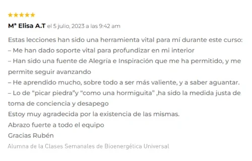 testimonio-09-google Testimonio Elisa AT