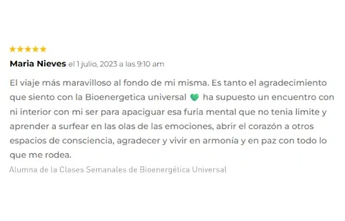 testimonio-11-Nieves-google